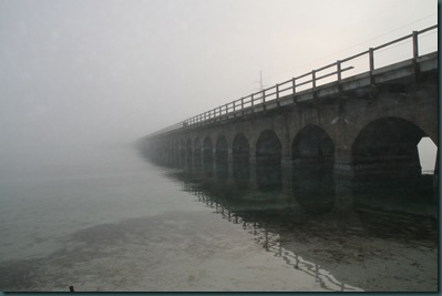 Fog2