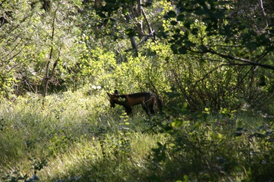 [IMG_57213.jpg]