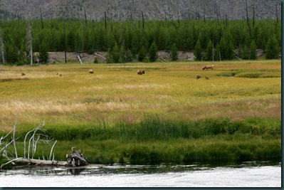 WestTrip,Week3 169