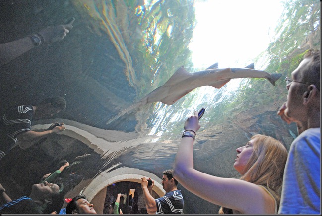 Dallas Aquarium (8)