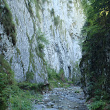 P8010442.JPG