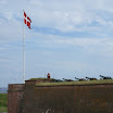 DSC03406.JPG - 5.07. Helsingoer - Kronborg; armaty zamkowe powitają salutem Królową Małgorzatę II
