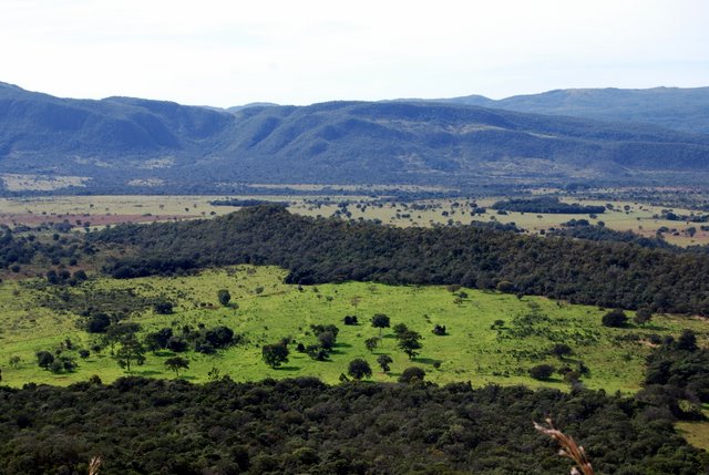 En entrant dans la Chapada, la plaine dun vert agréable