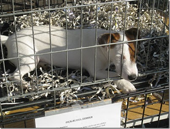 jrt