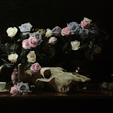 Still Life with Cattle Skull.jpg