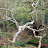 2/21/2010 Turnbull Canyon Hike - Photos J