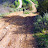 2/21/2010 Turnbull Canyon Hike - Photos D