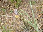 DSC01408_1200x900.jpg