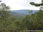 DSC01410_1200x900.jpg