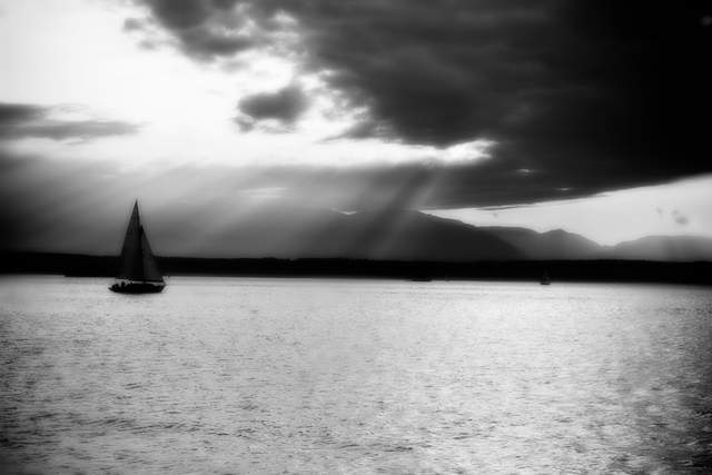 [IMG_4252B&W[3].png]