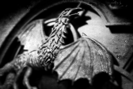 IMG_0152 copy