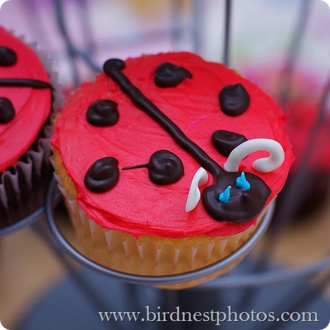 Party 6 copy