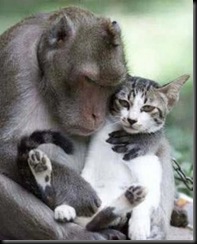 Amizade, carinho e amor (39)