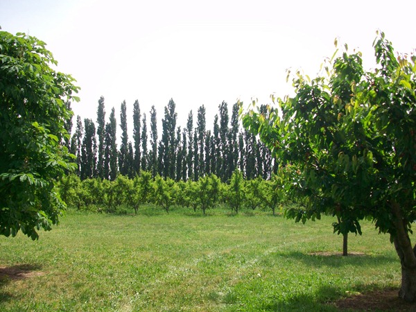 105