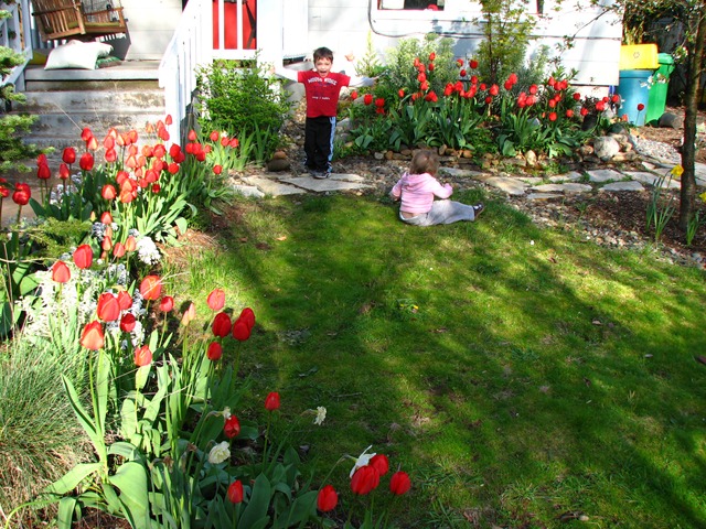 [2010-04-09 Tulips 060[4].jpg]