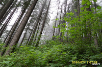 SAM_0019.JPG Photo