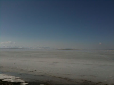 the view from willard bay