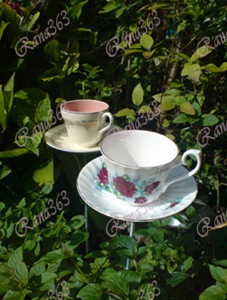 أفكار لاطعام العصافير Teacup%20_thumb%5B2%5D