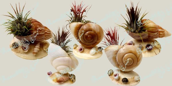[clip_image0294.jpg]