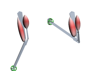 Muscle bones in 3ds Max.