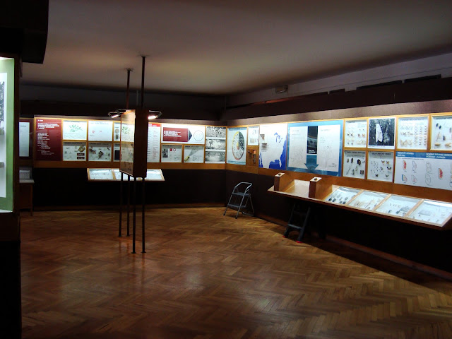 Muzeum Przyrodnicze we Wrocławiu - sala "Owady i człowiek"