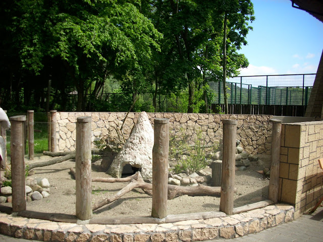 Zewnętrzna część wybiegu surykatek w oliwskim zoo