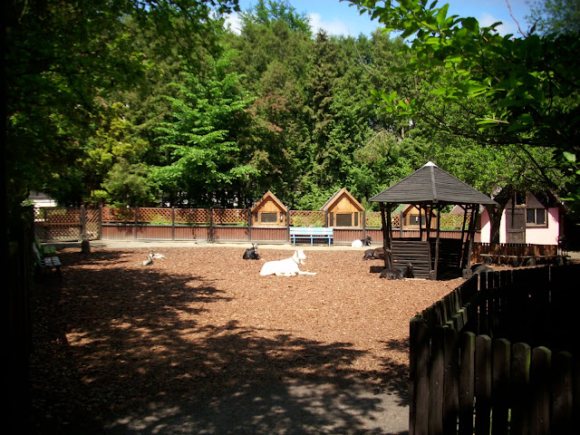 Minizoo w Oliwie