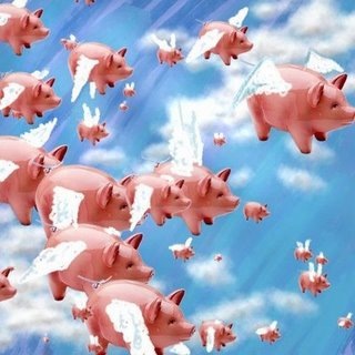 [pigs fly[3].jpg]