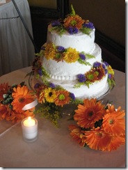 IMG_4977 IMG_4977