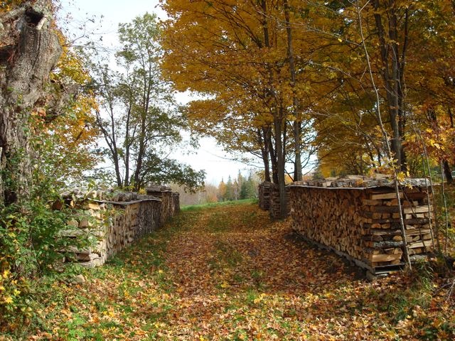 [woodpile5[2].jpg]