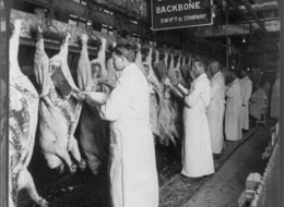 [meat_inspectors_1906-cropped-proto-custom_1[4].jpg]