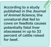 [quote-FFCow1[4].gif]
