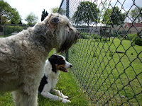 20090508_24.JPG