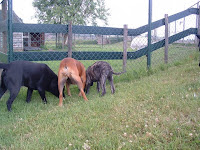 DSCF0048.JPG