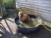 DSC05116.JPG
