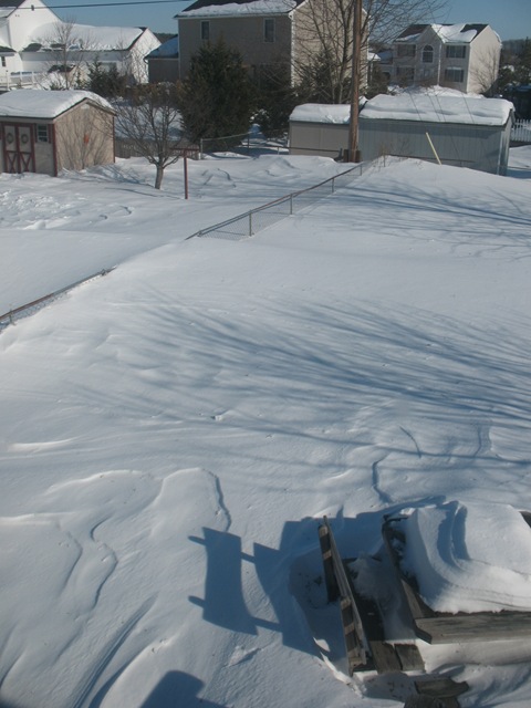 [snow[6].jpg]