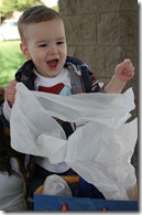 IMG_0516 IMG_0516