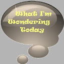 What I'm Wondering Today