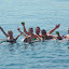 Happy campers at the floating bar