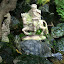 A turtle marvelling over his relatively gigantic size in Quan Cong temple's indoor pond.