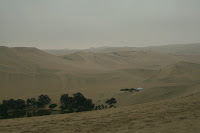 In the morning of our first full day we climbed to the top of the nearest dune, Huacacina is the small lagoon on the left surrounded by desert. In the morning cloudy and cold, in the afternoon guaranteed sunshine. Promise.