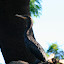 Another bird... we plan on revisiting this once we have our ornithology degree...