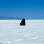 Lynette chilling out in a sea of salt.