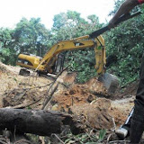 The digger destruction to build the illegal road.