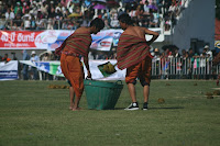 A whole lot of elephants leaves a whole lot of dung.