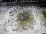 SDC10069.JPG