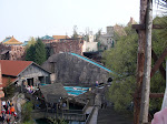 SDC10266.JPG