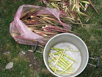 IMG_0828.JPG Photo