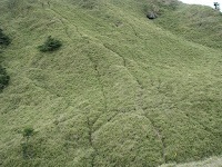 IMG_1451.JPG