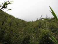 IMG_1470.JPG